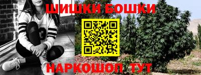 МДПВ Пенза