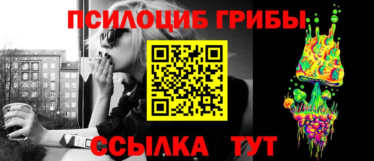 Галлюциногенные грибы Psilocybine cubensis Рославль